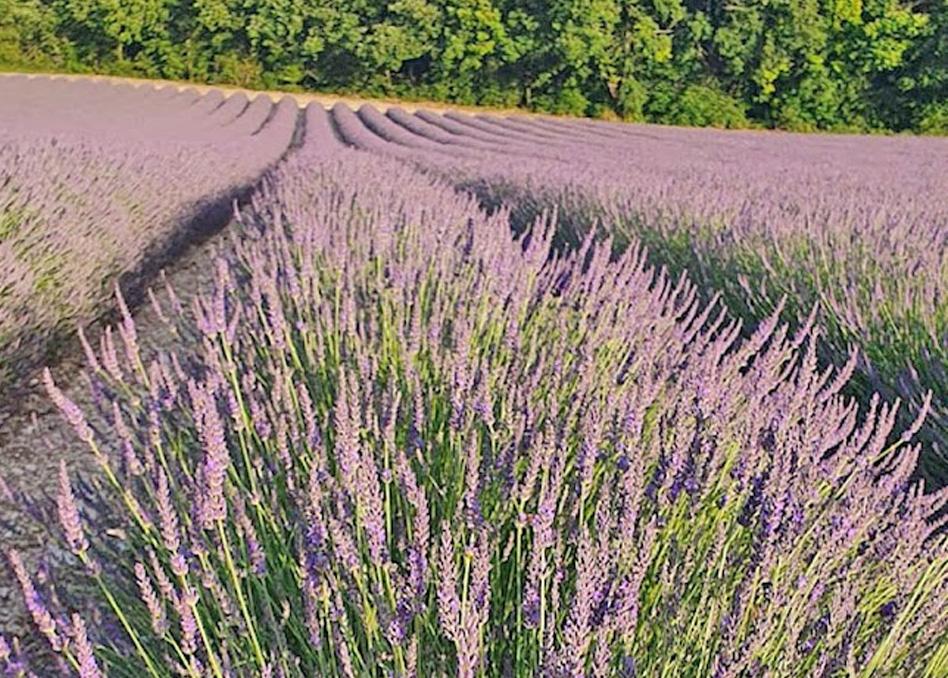 Domaine Lapeze Lägenhet Montcuq Exteriör bild