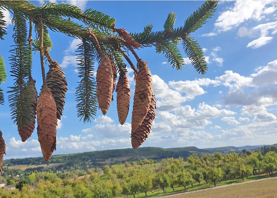 Domaine Lapeze Lägenhet Montcuq Exteriör bild
