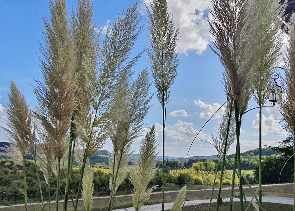 Domaine Lapeze Lägenhet Montcuq Exteriör bild
